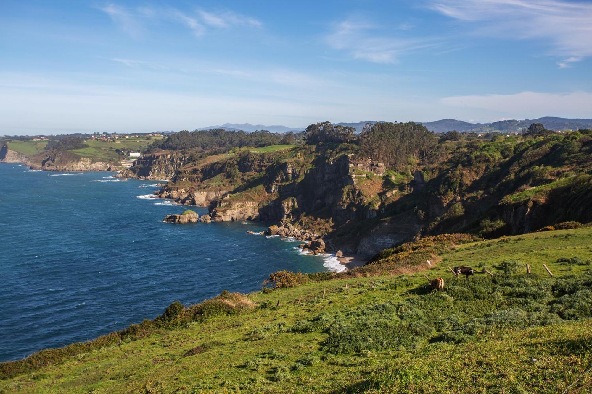La Colina Gijón